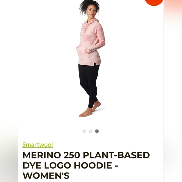 Smartwool - hoodie - Picture 4 of 4